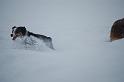 DSC_0056 (2)